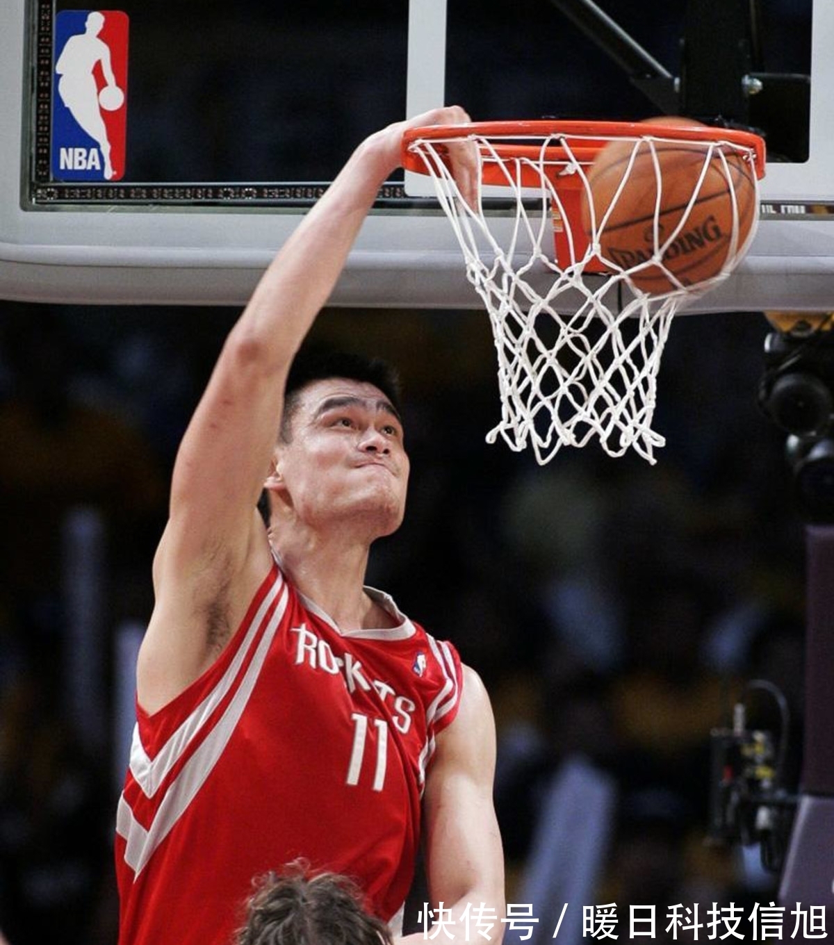 中国食品科学技术学会第十六届年会暨第十届中美食品业高层论坛在武汉召开